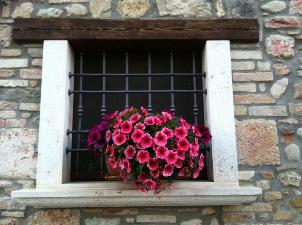 Agriturismo La Cantina Ascoli Piceno Exteriör bild